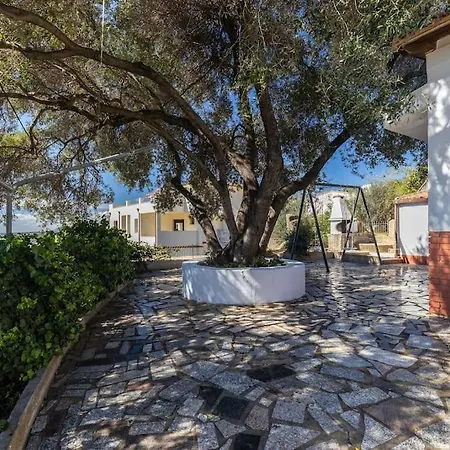 L'olivastro سانتا ماريا نافاريز